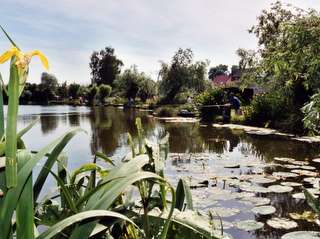 Le marais de Feuchy